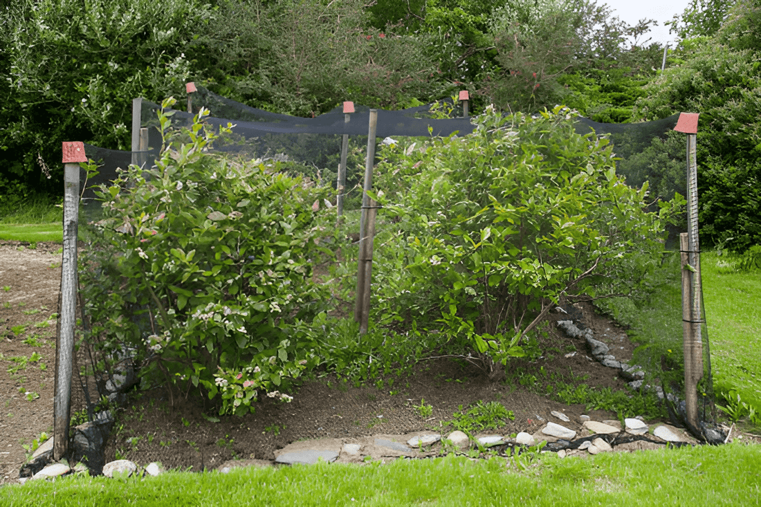 debris netting also used in gardening for safety purposes