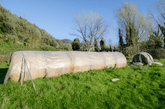 Clear Garden Plastic Sheeting