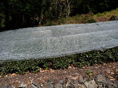 Clear Plastic Tarpaulin 170gsm