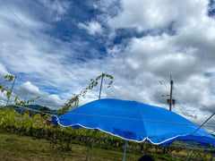 Blue Tarpaulin 110gsm