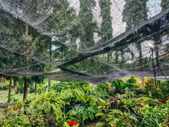 Debris Netting 50gsm