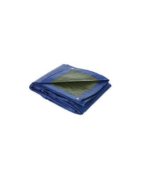Blue and Green Budget Tarpaulins