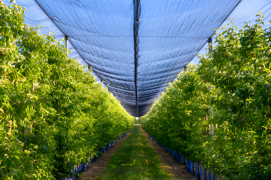 garden tarpaulin 