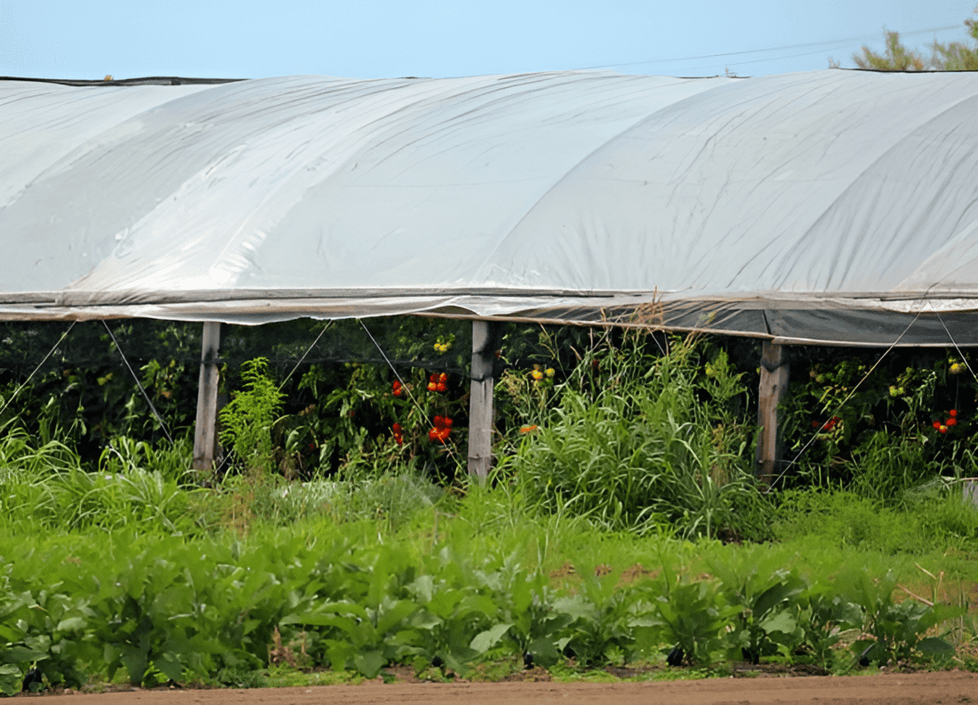 Best Selling tarps in UK
