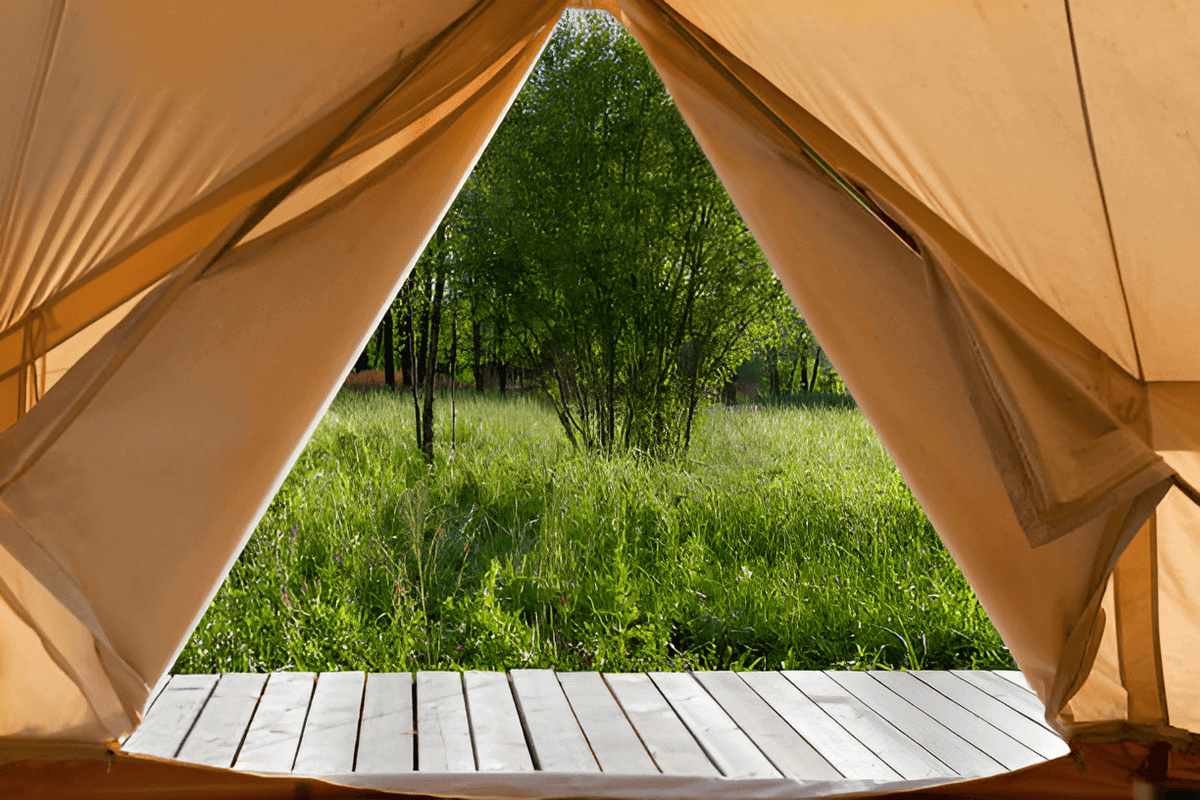 Canvas Shelter 