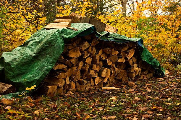 green tarpaulin
