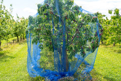 Debris Netting