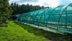 Debris Netting 150gsm